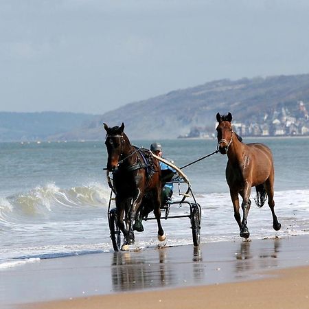 Le Nid De Plage A 100 M De La Mer كابورغ المظهر الخارجي الصورة